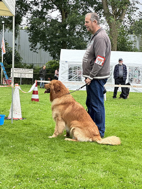 075 Beste reu Houwaerts Prince Rai Rebbel