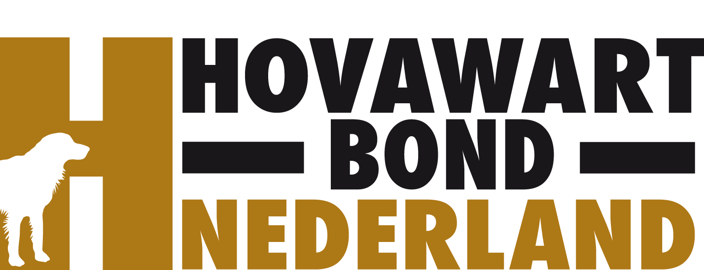 HBN Logo